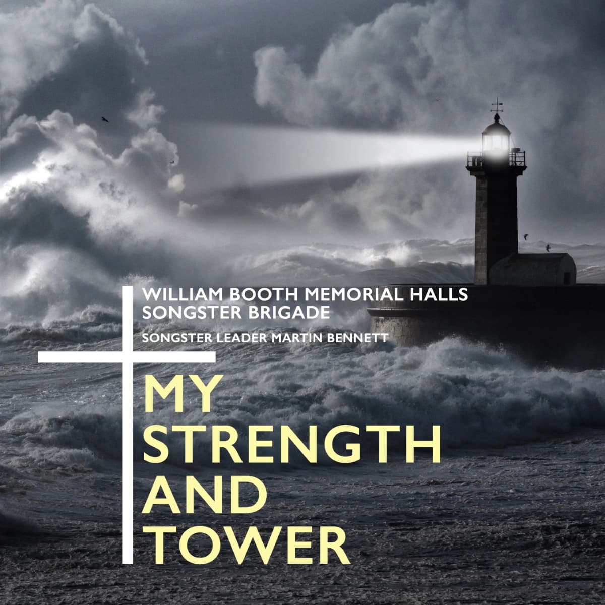 My Strength and Tower